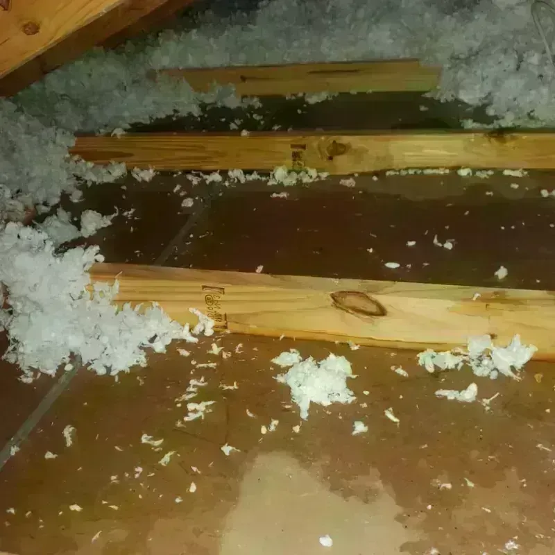 Attic Water Damage in Orleans County, VT